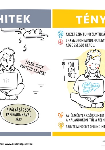 Tények és tévhitek infografika